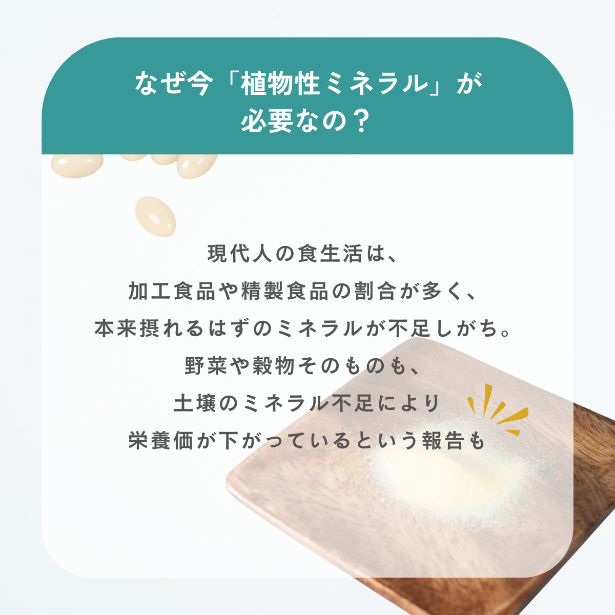 単品購入】古代植物由来ミネラルサプリメント ハイブリットミネラル