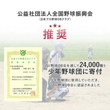 携帯活水器「エルセの実」活水用セラミックボール2個入