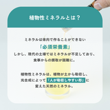 【定期便】古代植物由来ミネラルサプリメント　ハイブリットミネラルアイ(粒タイプ)