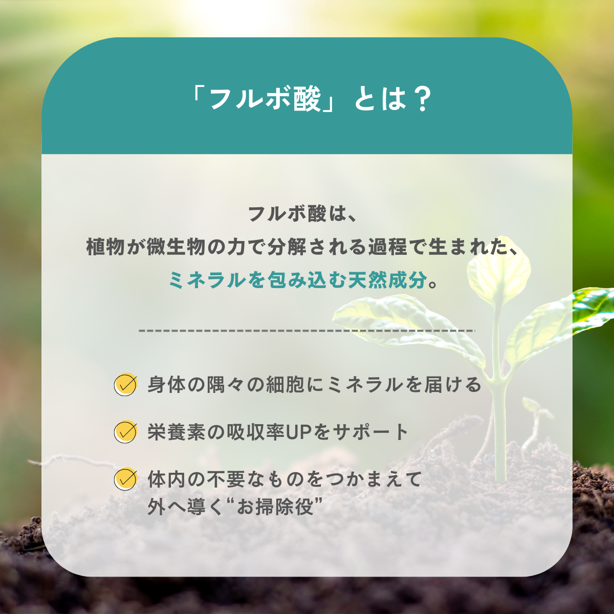 単品購入】古代植物由来ミネラルサプリメント ハイブリットミネラル