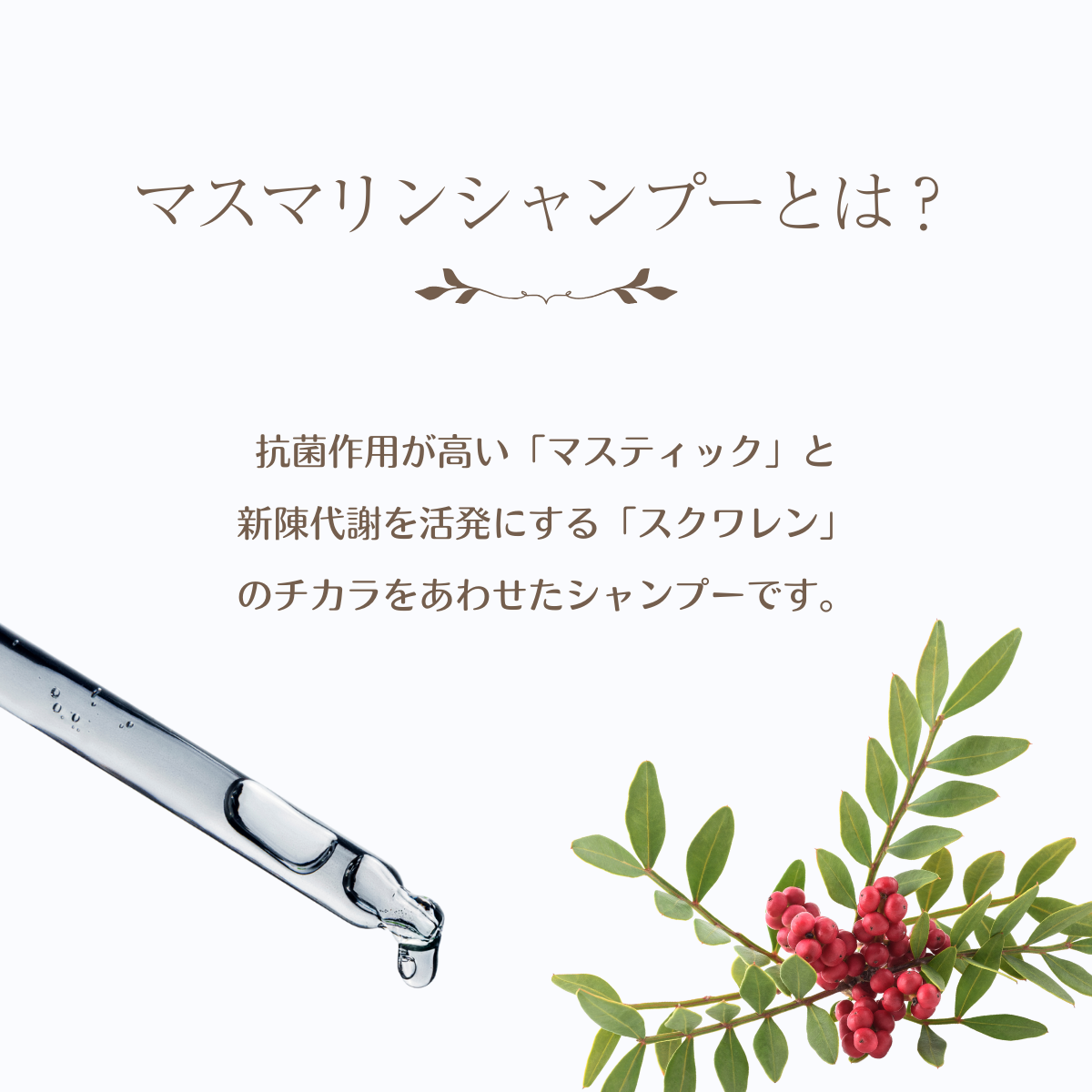 マスマリン ボディ＆ヘアーシャンプー