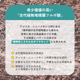 【定期便】古代植物由来ミネラルサプリメント　ハイブリットミネラルアイ(粒タイプ)
