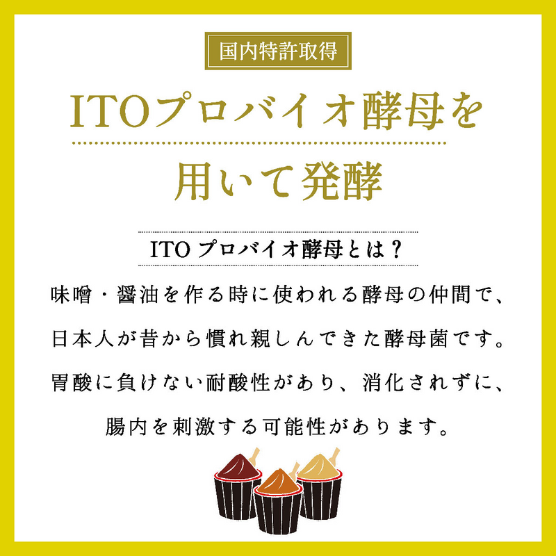 【定期便】最強の酵素ドリンク｜毎月プレゼント付ワクワク定期便