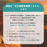 【定期便】古代植物由来ミネラルサプリメント　ハイブリットミネラルアイ(粒タイプ)