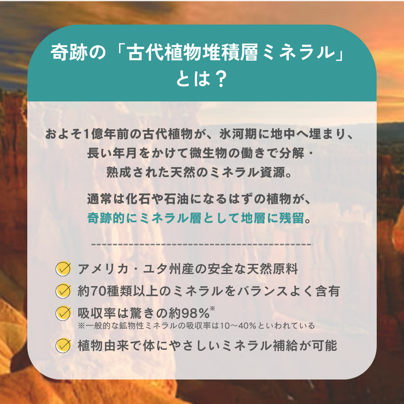 【定期便】古代植物由来ミネラルサプリメント　ハイブリットミネラルアイ(粒タイプ)