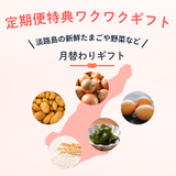 本気の酵素（ワクワク定期便2本）