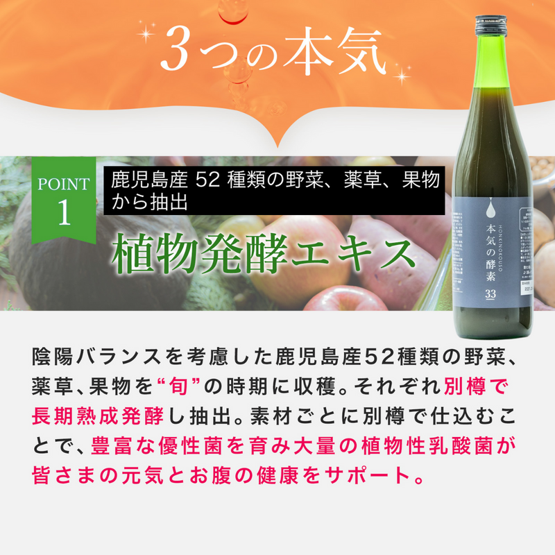 本気の酵素（ワクワク定期便2本）