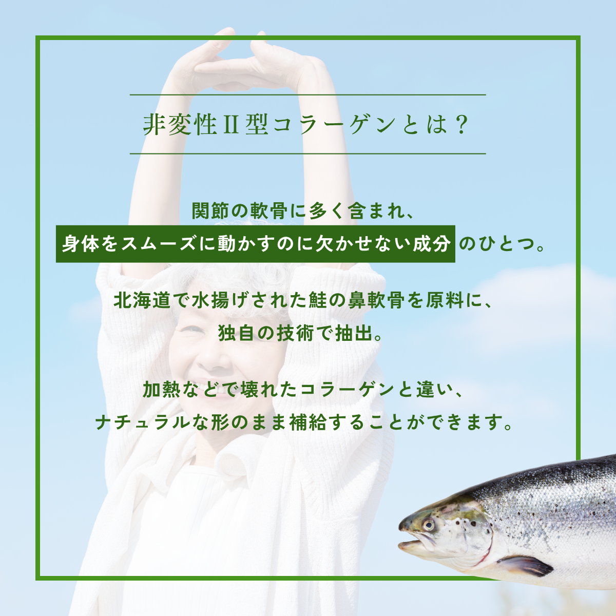 単品購入】非変性Ⅱ型コラーゲン配合サプリメント「ジョイフィル 
