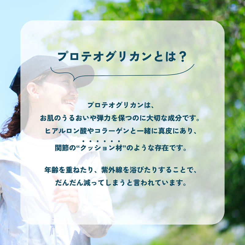 【定期購入】高純度プロテオグリカン配合サプリメント「プロフィル」＆非変性Ⅱ型コラーゲン配合サプリメント「ジョイフィル」セット
