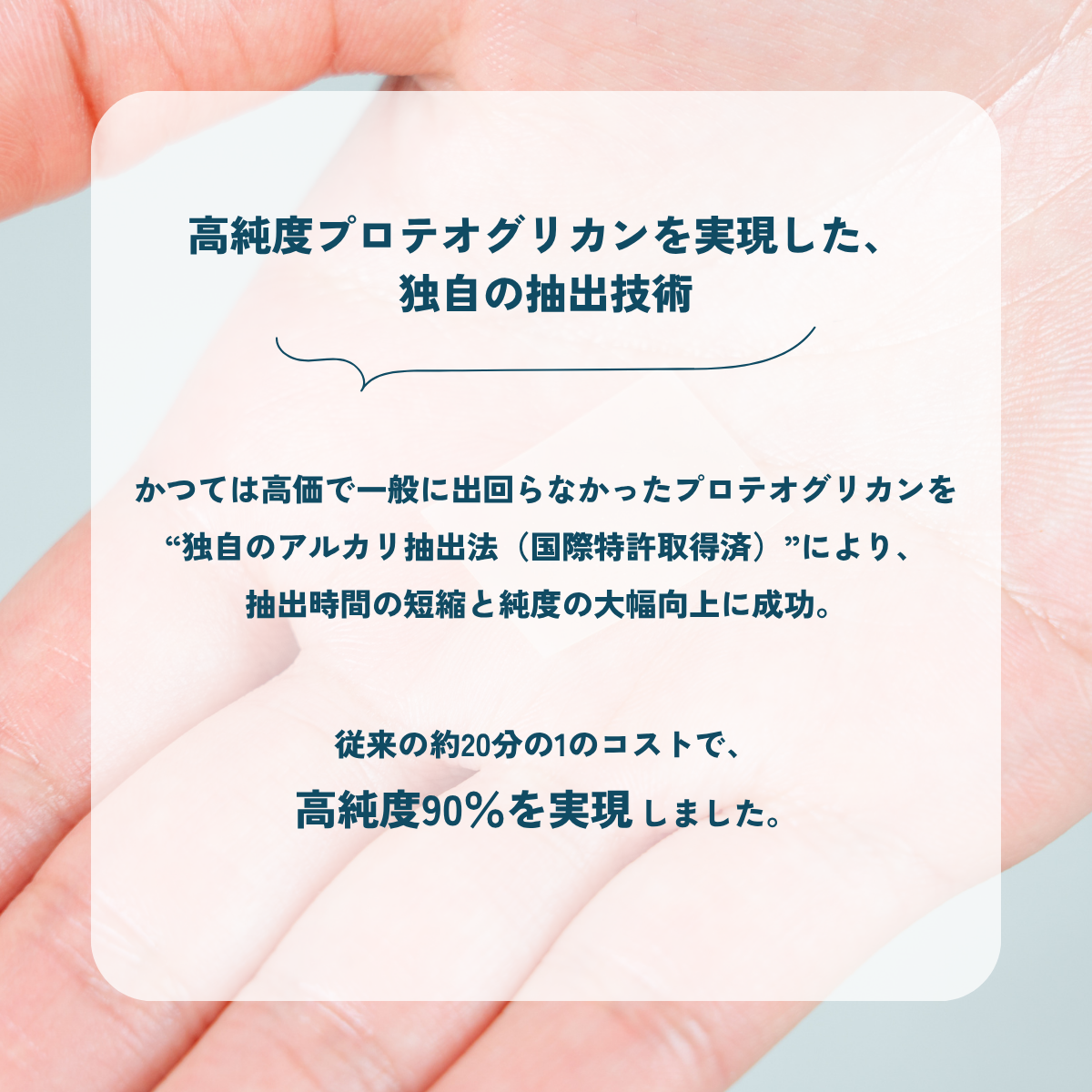 単品購入】高純度プロテオグリカン配合サプリメント「プロフィル」＆非
