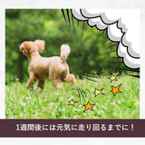 寝ながら整う！酵素ケアマットforペット